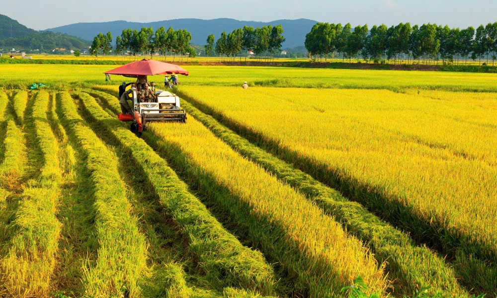 Bắc Ninh: Thu hẹp khoảng cách đô thị và nông thôn