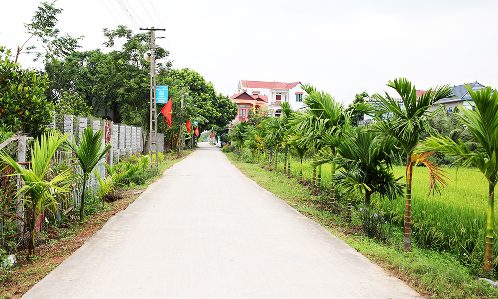 Thị xã Việt Yên: Thêm 3 xã đạt chuẩn nông thôn mới nâng cao, kiểu mẫu