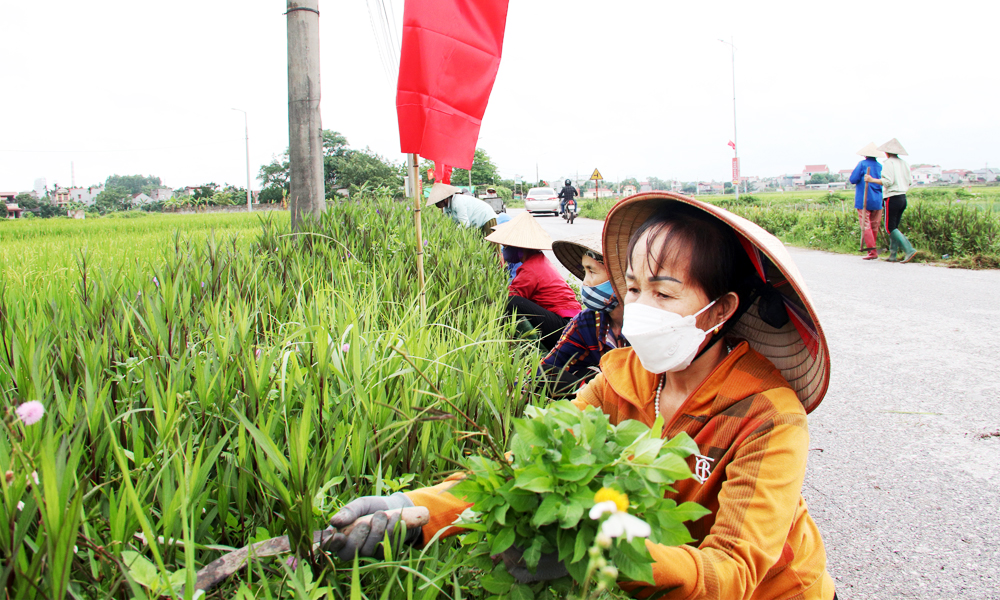 TP Bắc Giang: Huy động sức dân Khuyến mãi Mocbai nông thôn mới, đô thị văn minh