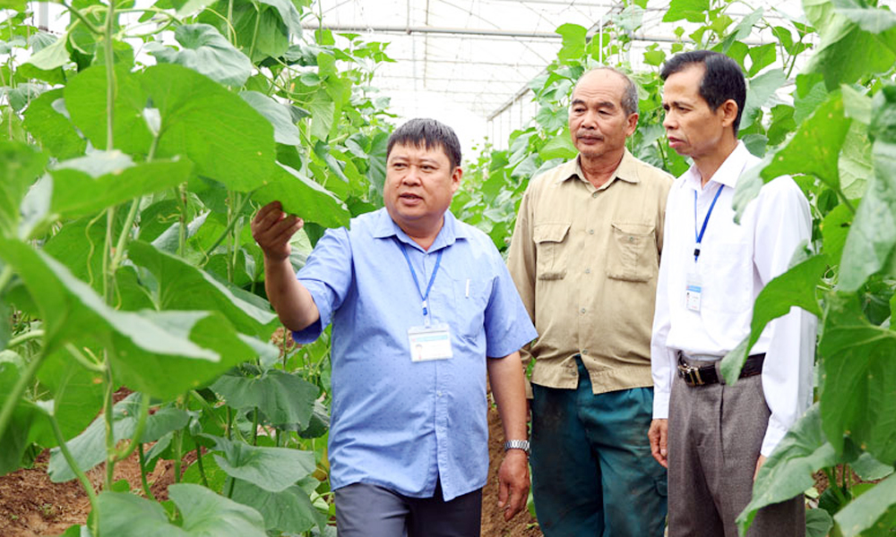 Thực hiện chính sách "tam nông": Nâng giá trị Mb6626.com ưu đãi độc quyền MB66 là nhà cái uy tín hàng đầu Việt Nam