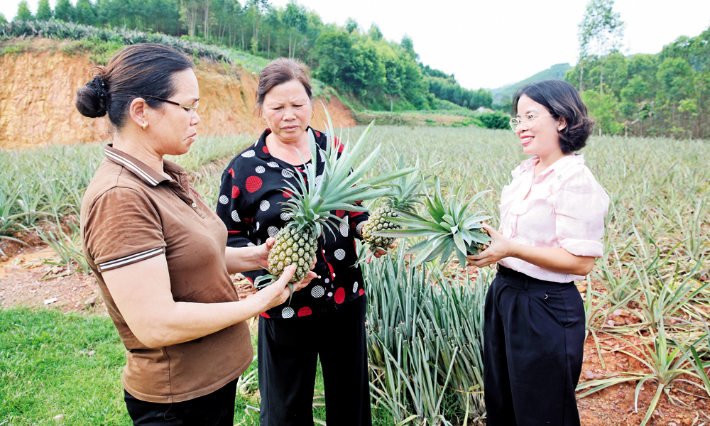  Tin tức - Sự kiện