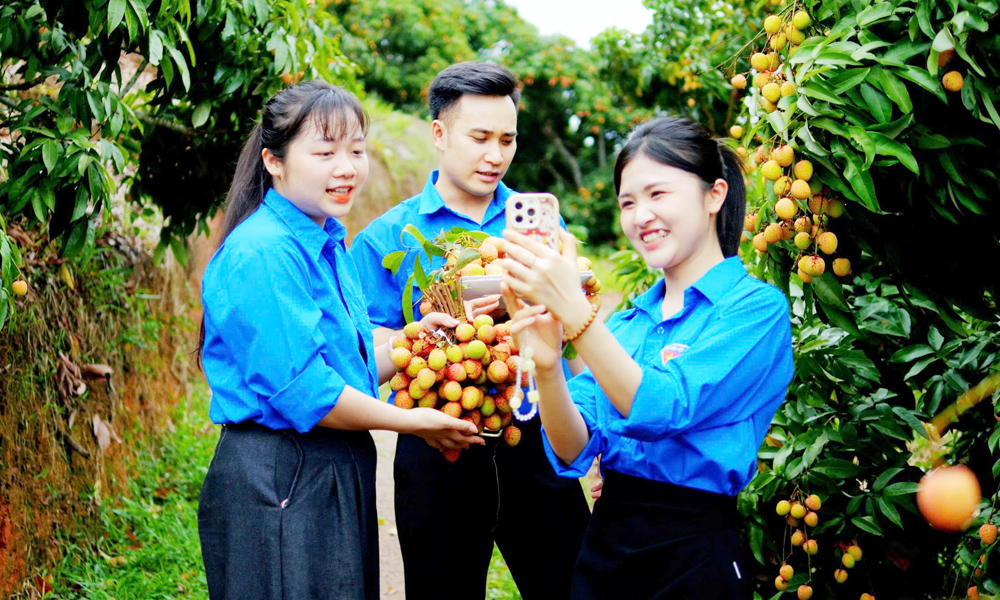  Tin tức - Sự kiện