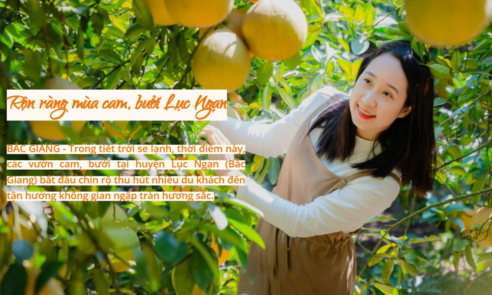  Sản vật vùng cao