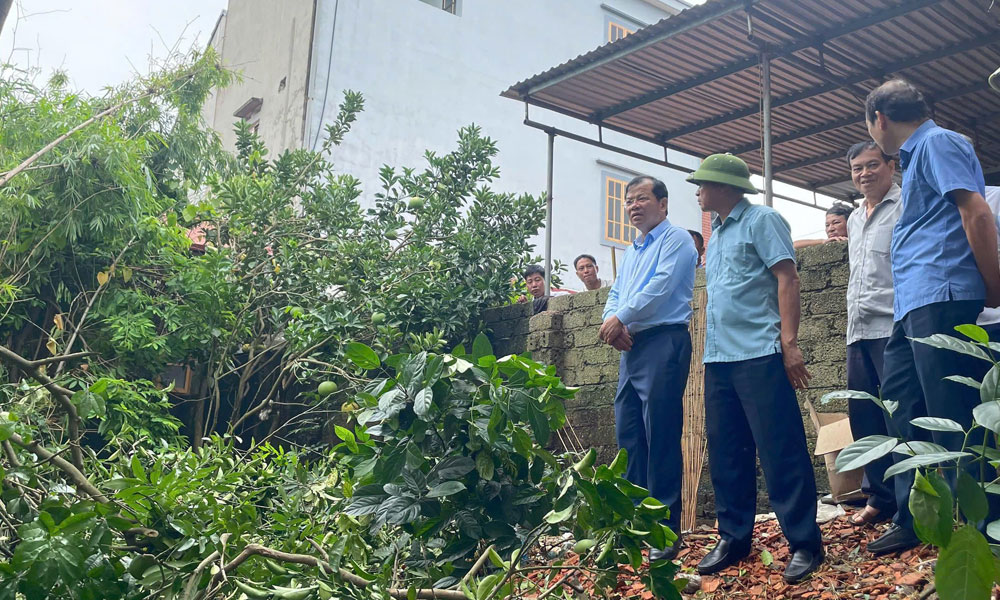 Phó Chủ tịch UBND tỉnh Phan Thế Tuấn kiểm tra khu vực bị sạt lở đê tại huyện Hiệp Hòa