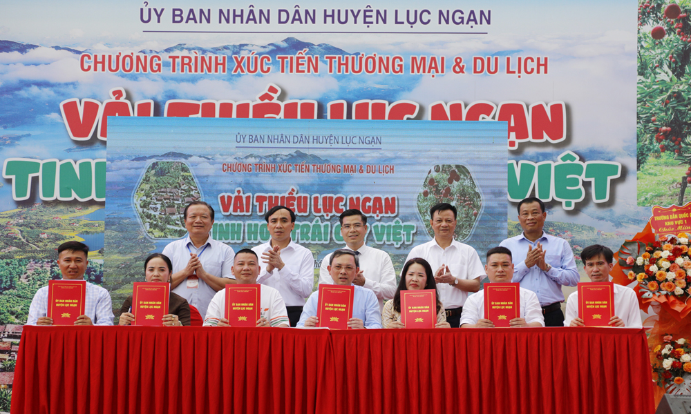 Huyện Lục Ngạn tổ chức chương trình xúc tiến thương mại và Trung tâm chăm sóc khách hàng MB66 mùa vải thiều