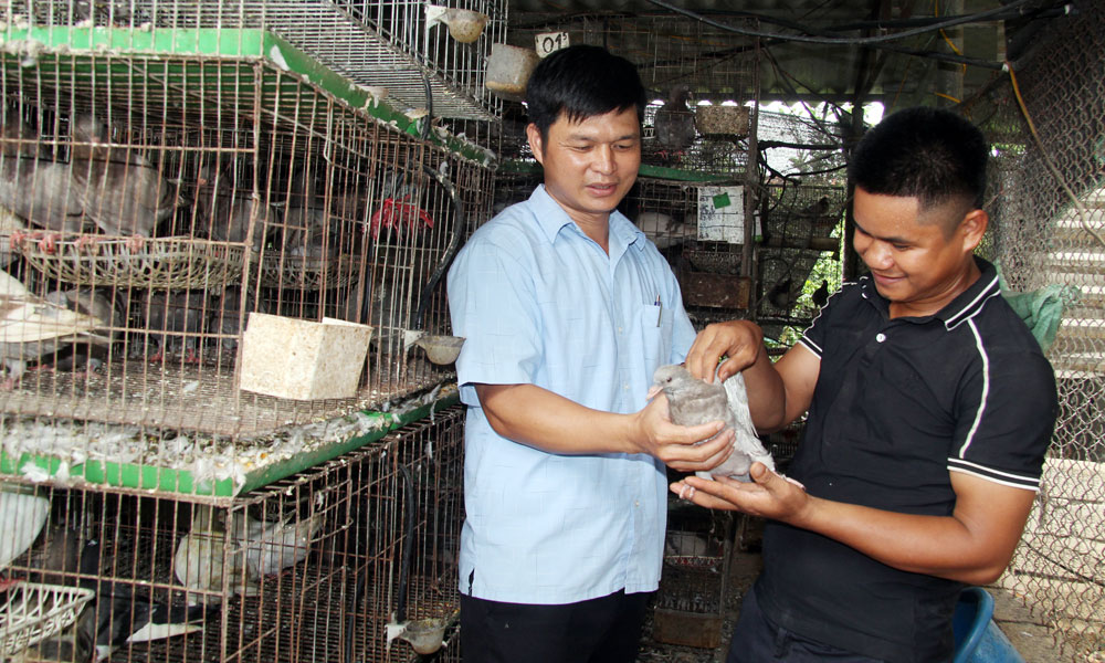 Lục Nam: Hơn 1 nghìn lao động thuộc diện hộ nghèo, cận nghèo được đào tạo nghề