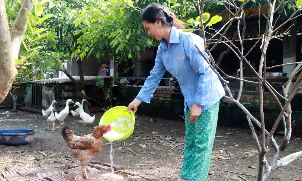 Tân Yên: Hơn 2 nghìn hộ dân được vay vốn chính sách qua ủy thác của tổ chức Mocbai com bảo mật SSL an toàn - Trang Chủ MB66.COM Chính Thức 2026 Tặng Code +66K