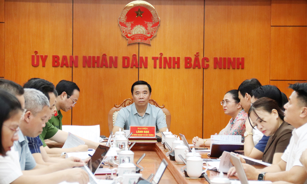 Đẩy nhanh tiến độ xây dựng cơ sở dữ liệu quốc gia về đất đai