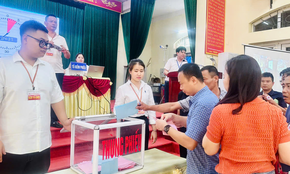 Đấu giá đất tại Phúc Hòa: Giá trúng chênh lệch tăng hơn 23,8 tỷ đồng