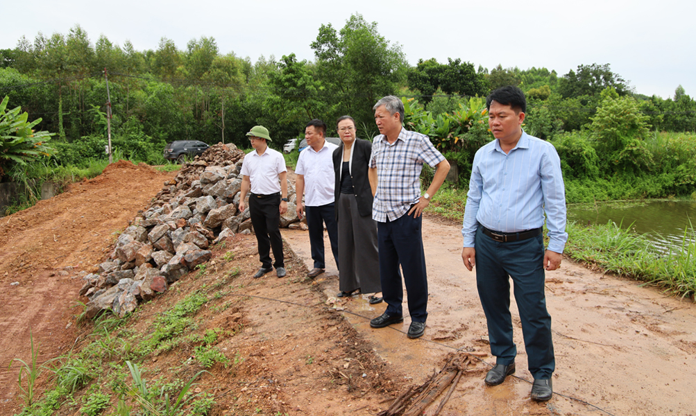 Bắc Ninh: Khẩn trương thực hiện các hạng mục, sử dụng hiệu quả kinh phí khắc phục hậu quả thiên tai tại xã Tam Tiến