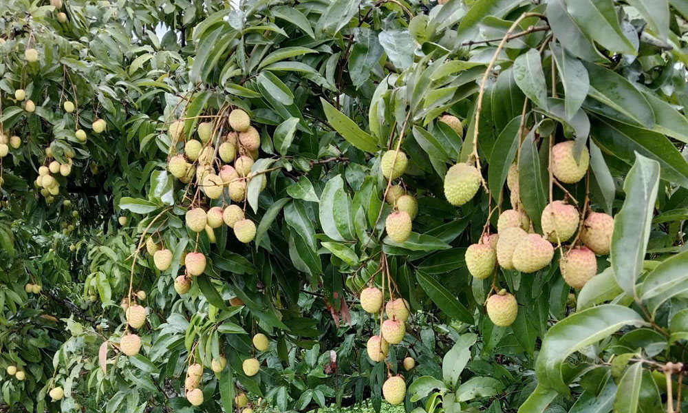  Tin tức - Sự kiện