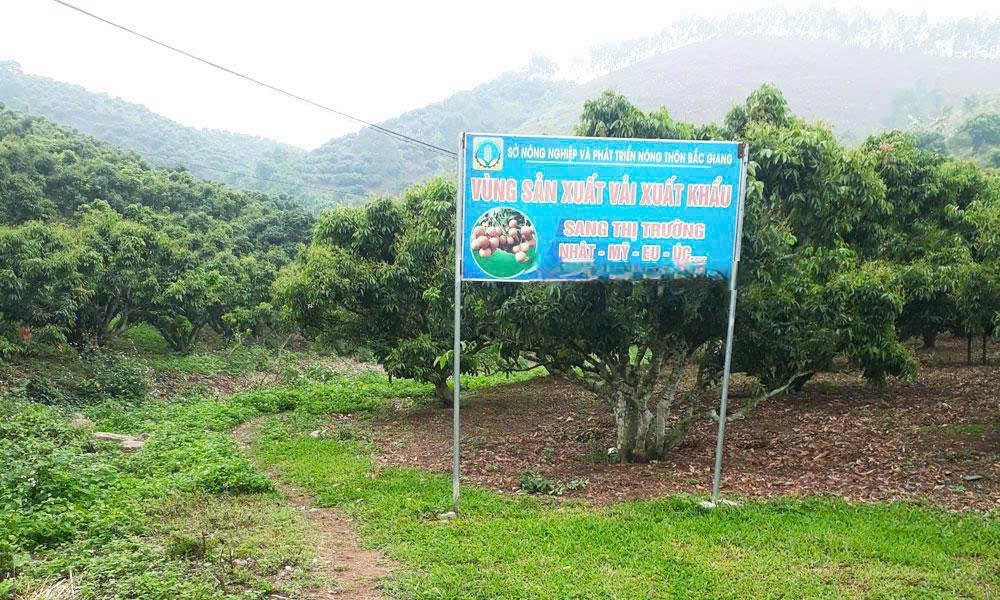  Tin tức - Sự kiện