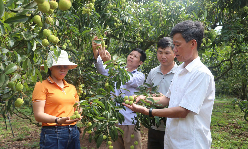  Tin tức - Sự kiện