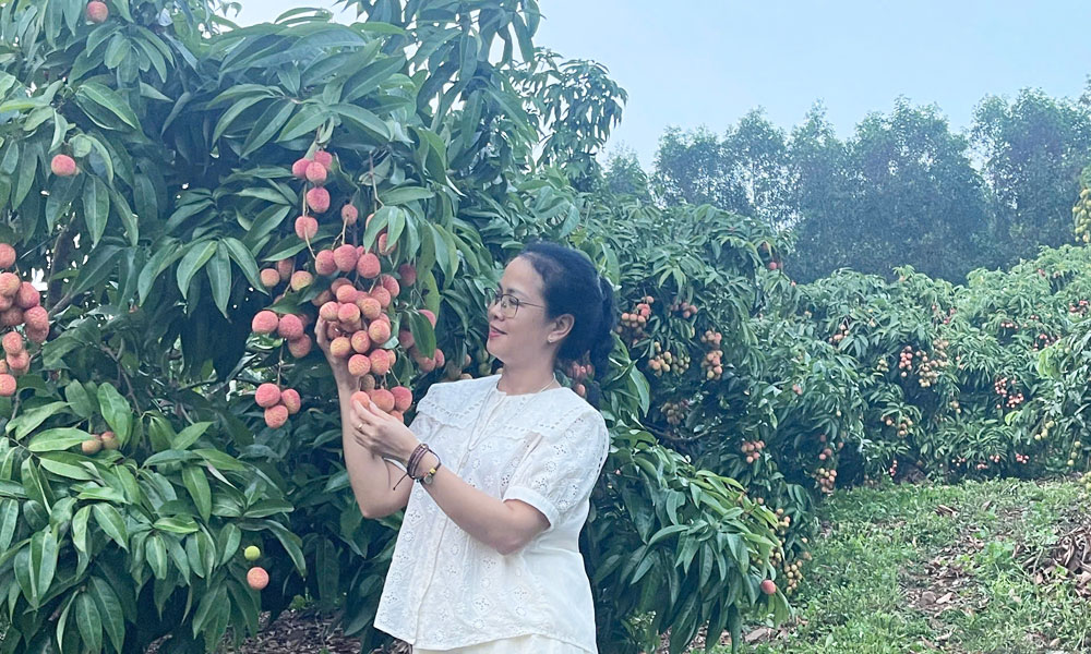  Nhịp sống đô thị