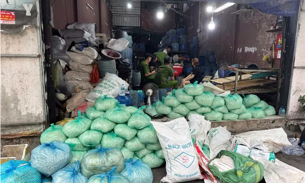 Hơn 1.000 tấn giá đỗ nhiễm hóa chất cấm tuồn ra thị trường Thành phố Hồ Chí Minh