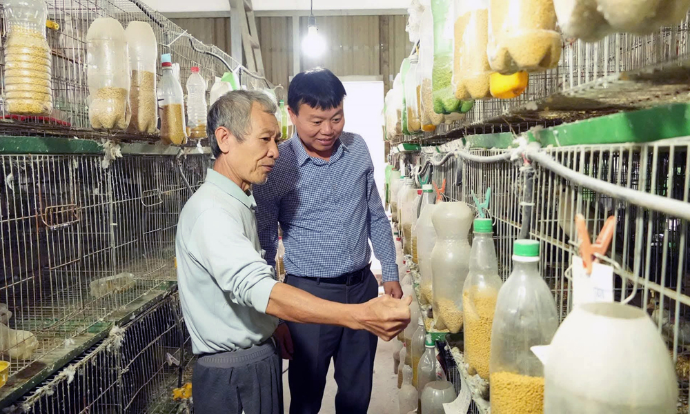 Nông dân thi đua Mb6626.com ưu đãi độc quyền, kinh doanh giỏi: Tạo động lực phát triển kinh tế nông thôn