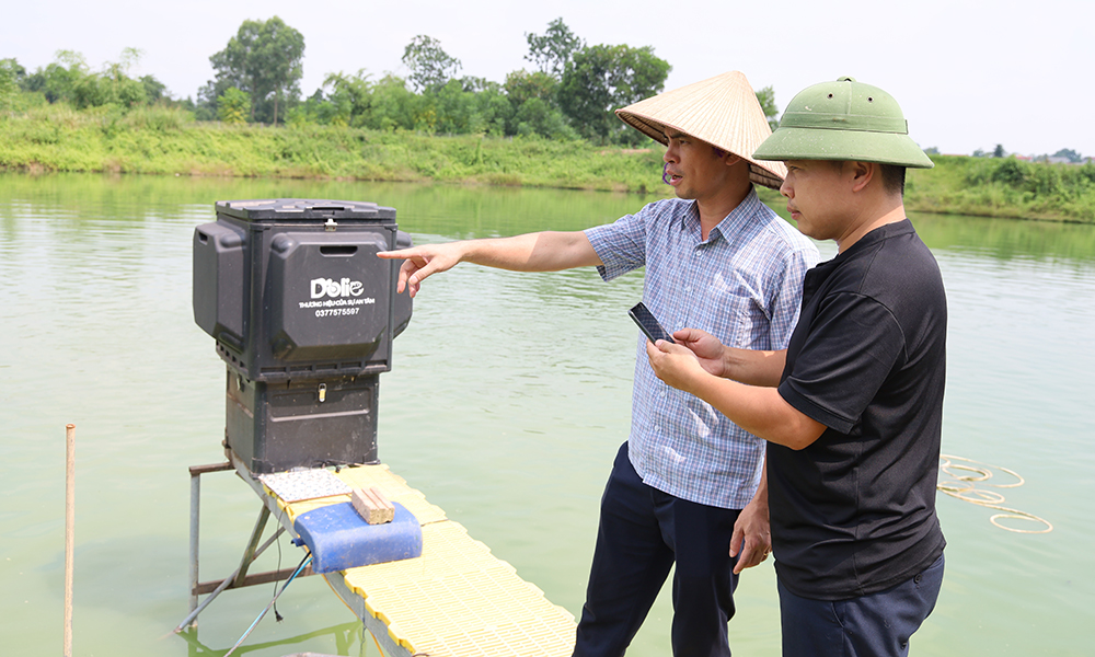 Khảo sát, hỗ trợ tiêu thụ, xuất khẩu cá rô phi tại Bắc Ninh