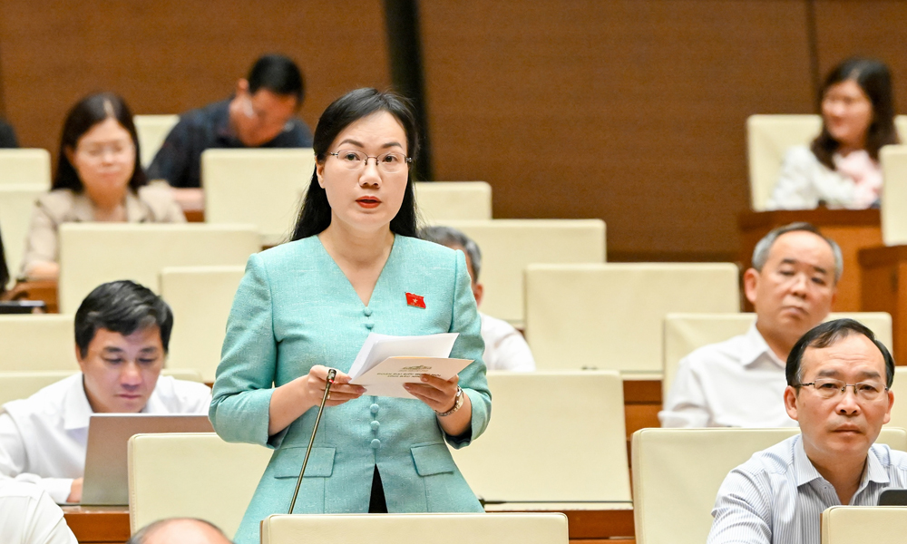  Đại biểu Đỗ Thị Việt Hà: Đề nghị mở rộng đối tượng được hỗ trợ tiếp cận thông tin